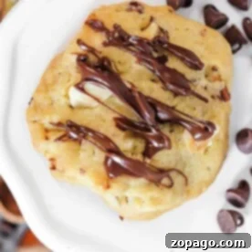 A delightful chocolate hazelnut cookie drizzled with rich chocolate sauce sits elegantly on a white plate, surrounded by scattered chocolate chips.