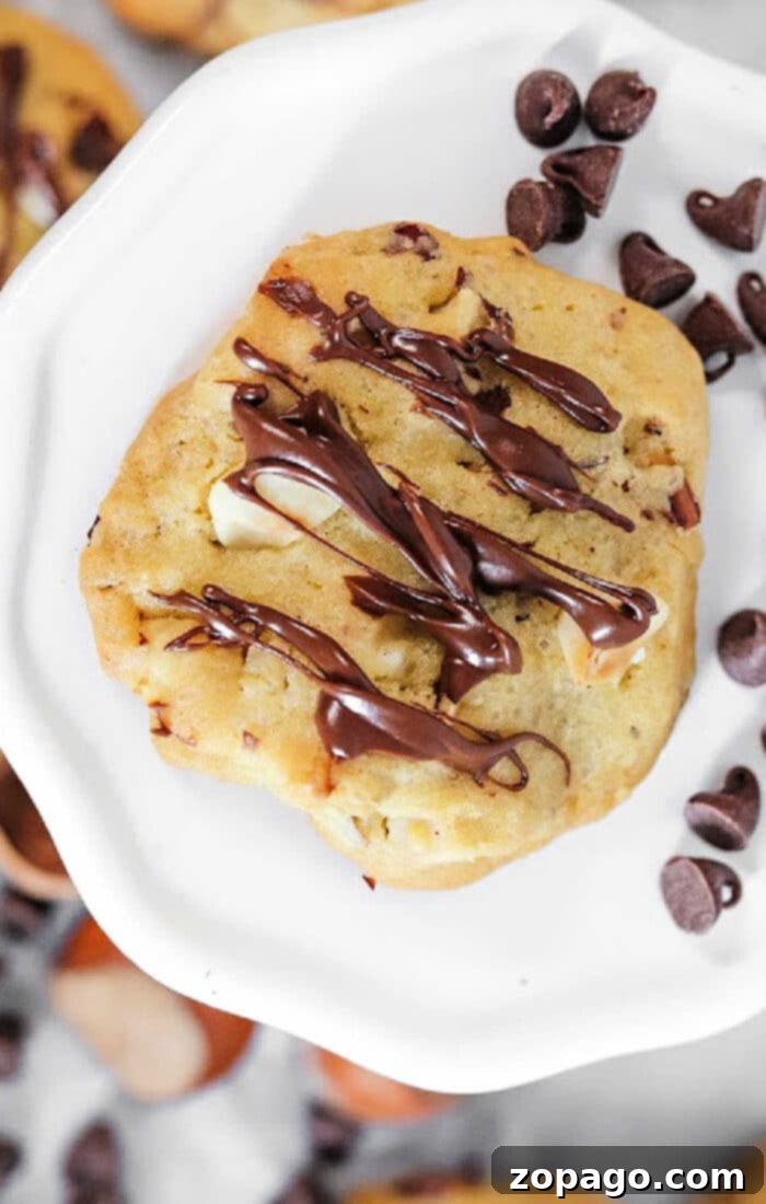 Fudgy Chocolate Hazelnut Cookies 7 Beautifully Arranged Chocolate Chip Hazelnut Cookies with a Festive Touch