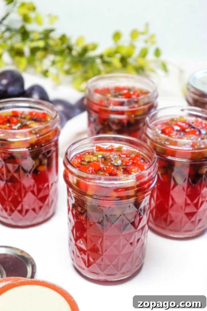Surefire Homemade Plum Jelly 5 Various jars of homemade plum jelly lined up on a rustic wooden surface.