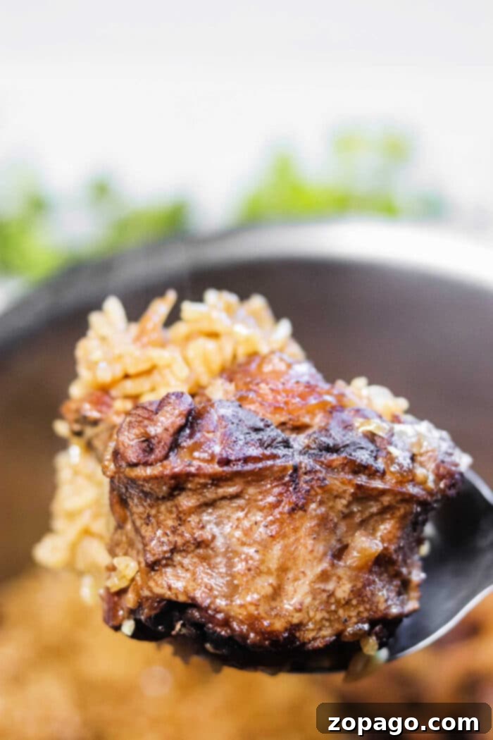 Slow-Cooked Oxtails Over Rice 2 Oxtails and Rice, a hearty one-pot meal