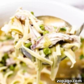 Hearty Whole Chicken Noodle Soup 6 Close-up of a ladle scooping hearty whole chicken soup, brimming with noodles, peas, and tender shredded chicken.