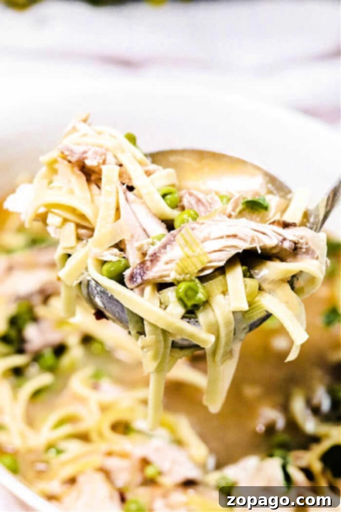 Hearty Whole Chicken Noodle Soup 7 Close-up of a bowl of Chicken Noodle Whole Chicken Soup with spoon
