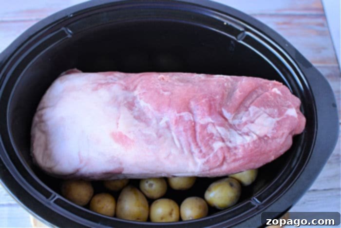 Slow Cooker Frozen Pork Loin 5 Slow Cooker Frozen Pork Loin with vegetables