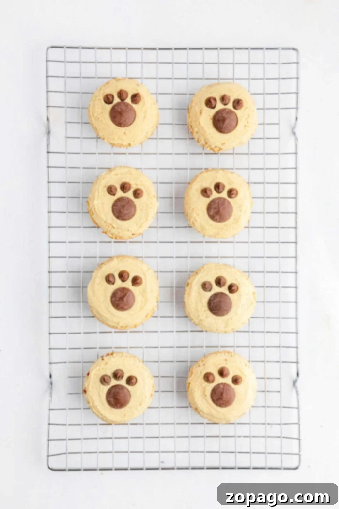 Butter Pecan Cookies 2 Eight butter pecan Cookies with paw print designs rest on a cooling rack, viewed from above on a white background, highlighting their delicious appearance.