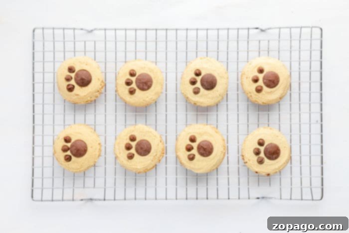 Butter Pecan Cookies 6 Homemade Butter Pecan Cookies Recipe close-up, showcasing their texture and inviting golden brown edges.