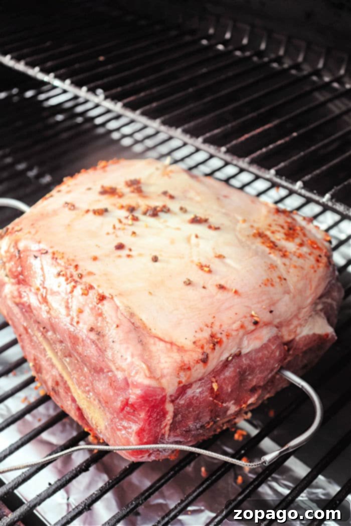 Slow-Smoked Pork 4 Traeger Pork Roast