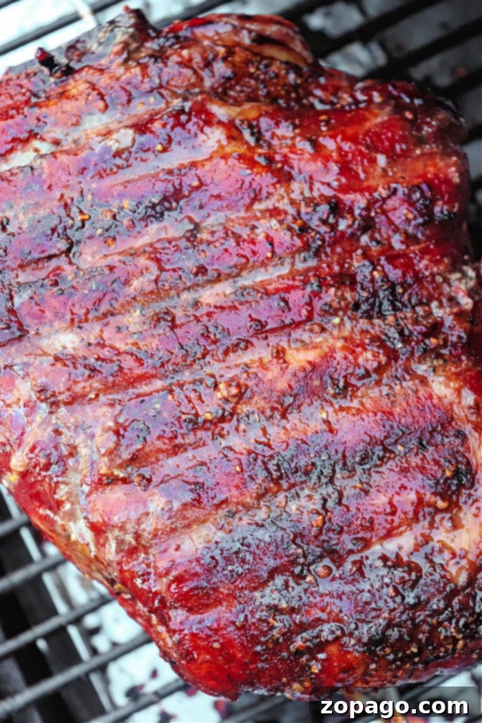 Slow-Smoked Pork 5 Smoked Pork Roast Pellet Grill