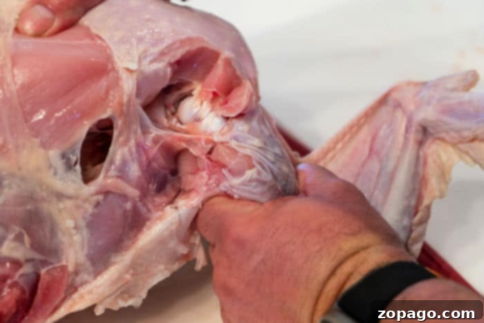 Breaking Down a Raw Turkey 3 Essential tools for cutting a raw turkey at home