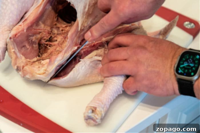 Breaking Down a Raw Turkey 5 Step-by-step guide to deconstructing a turkey's leg and thigh