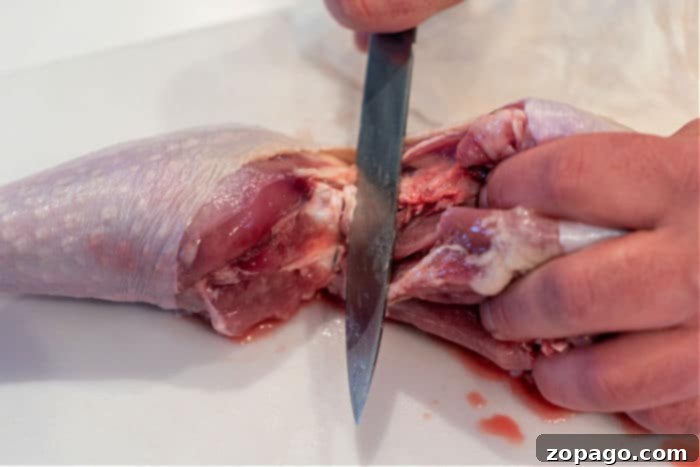 Breaking Down a Raw Turkey 6 Detailed view of deconstructing a whole turkey to separate leg and thigh