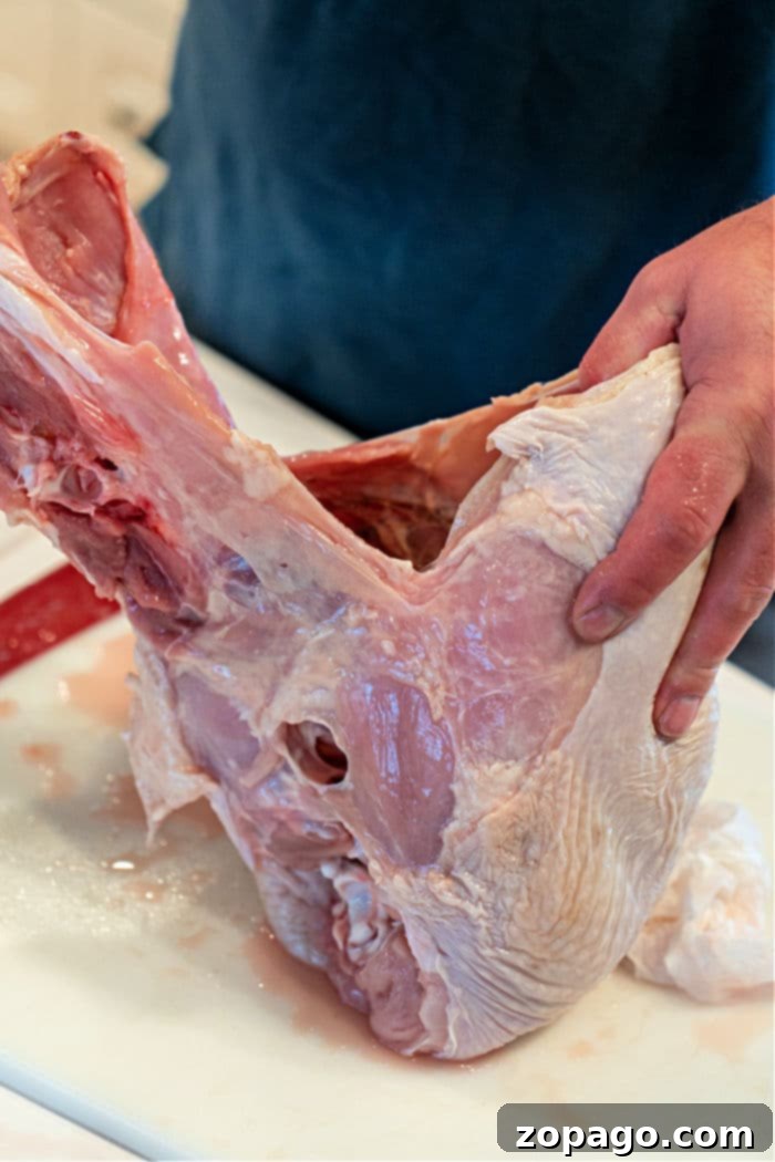 Breaking Down a Raw Turkey 7 The remaining raw turkey carcass after removing legs and wings