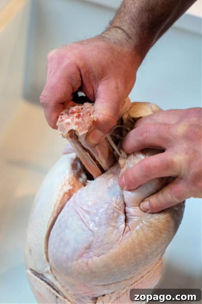turkey neck