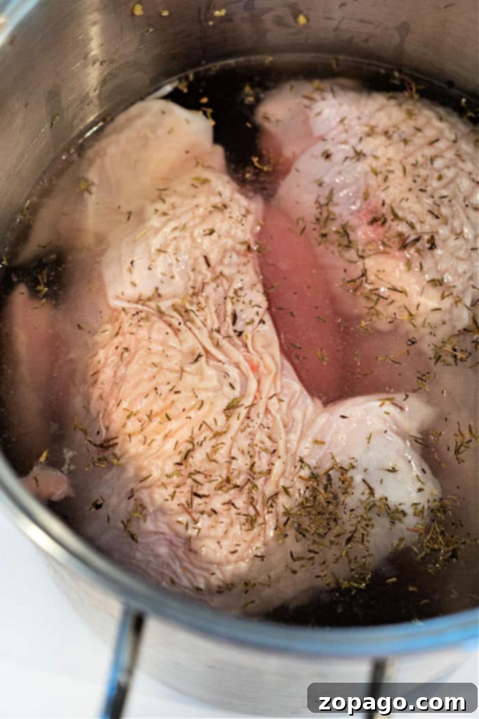 Foolproof Turkey Brine 8 Simple Turkey Brine