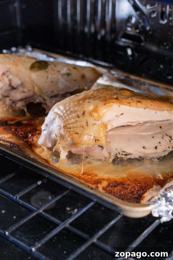 Perfectly Roasted Butterball Turkey Breast 6 A perfectly cooked, golden-brown turkey breast resting in a roasting pan, ready to be sliced. The skin is visibly crispy, and the herbs add a fresh aroma, showcasing an exemplary 'Turkey Breast in Oven' result.