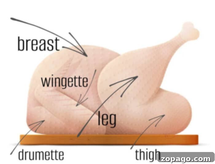 Turkey Cuts 3 Side view diagram highlighting turkey legs and thighs.