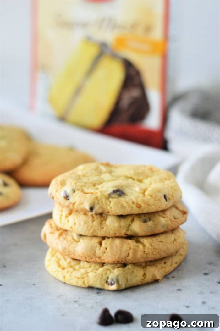 Golden Chocolate Chip Cake Mix Cookies 3 Betty Crocker Cake Mix Chocolate Chip Cookies - Close-up of homemade cookies.