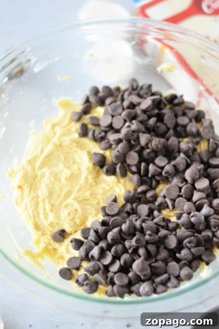 Golden Chocolate Chip Cake Mix Cookies 4 Chocolate Chip Cookies with Cake Mix - Freshly baked and warm.