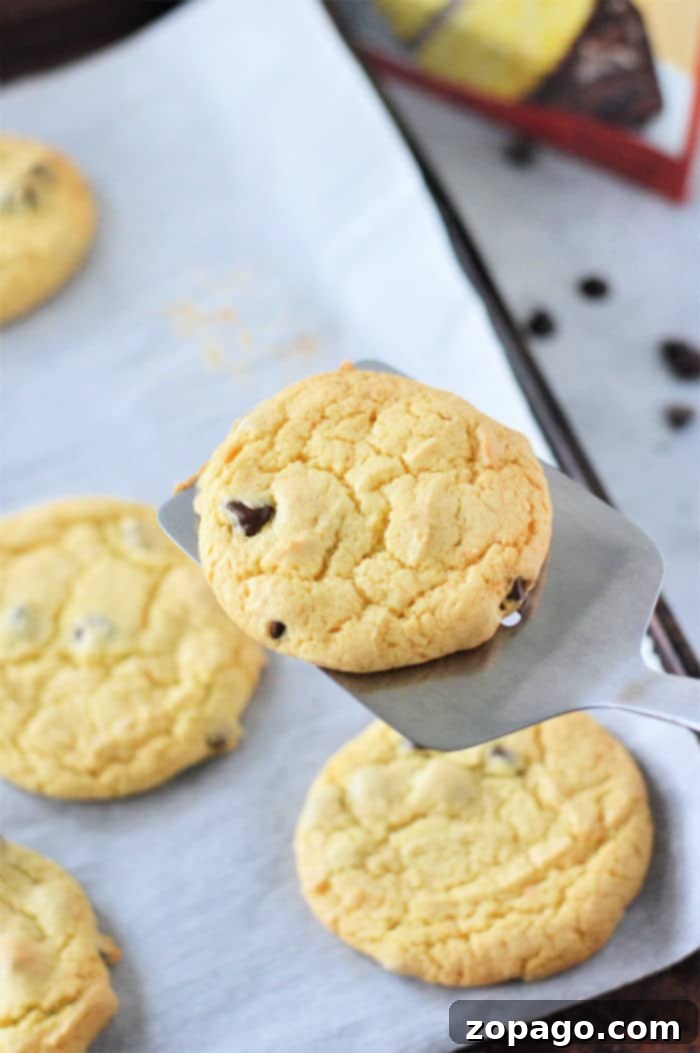 Golden Chocolate Chip Cake Mix Cookies 6 Cake Mix Sugar Cookies - A simple and sweet treat.