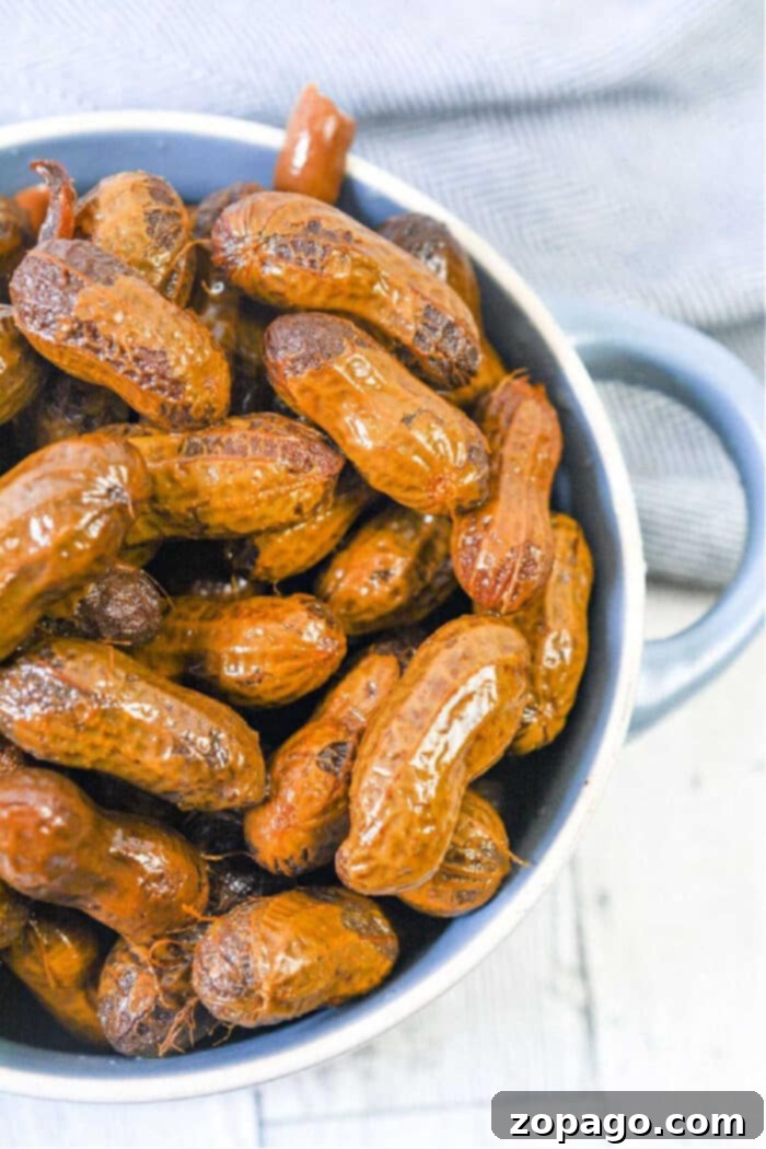 Effortless Slow Cooker Boiled Peanuts 2 cajun-Boiled-Peanuts - A close-up of a bowl of spicy boiled peanuts, ready to be enjoyed as a snack or appetizer.