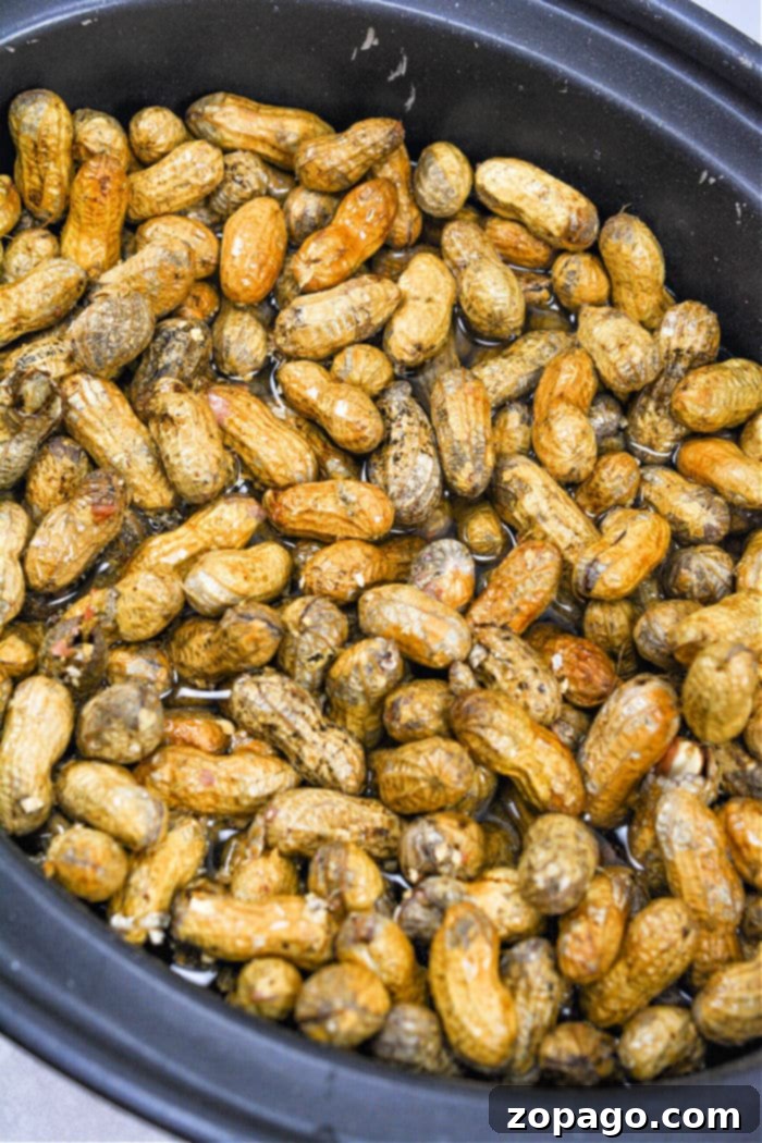 Effortless Slow Cooker Boiled Peanuts 4 Slow Cooker Boiled Peanuts - A rustic bowl of boiled peanuts, ready to be enjoyed as a classic Southern snack.