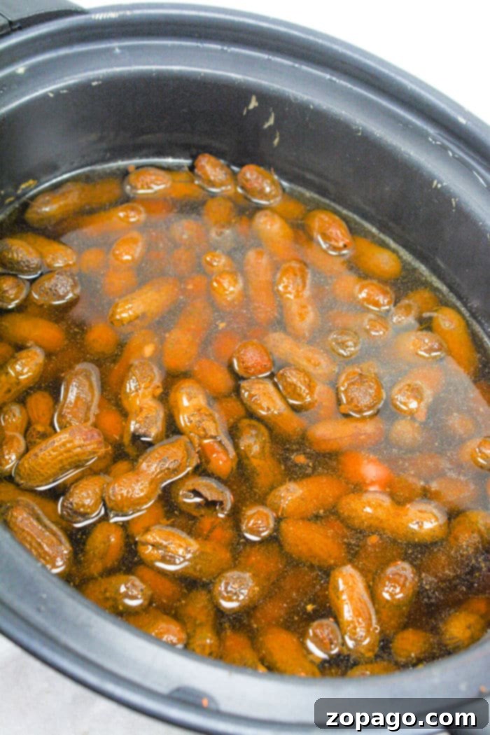 Effortless Slow Cooker Boiled Peanuts 5 How to Boil Peanuts - A close-up of a hand shelling a boiled peanut, highlighting the tender interior.
