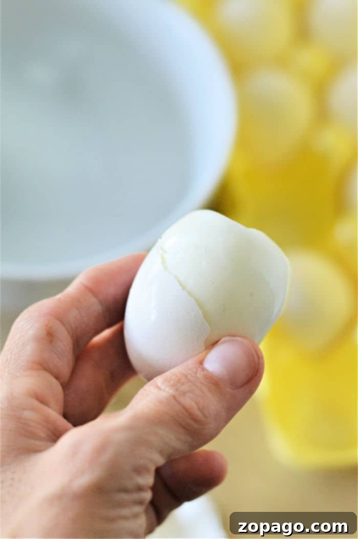 Microwave Mug Eggs 2 Microwave Eggs in a Cup