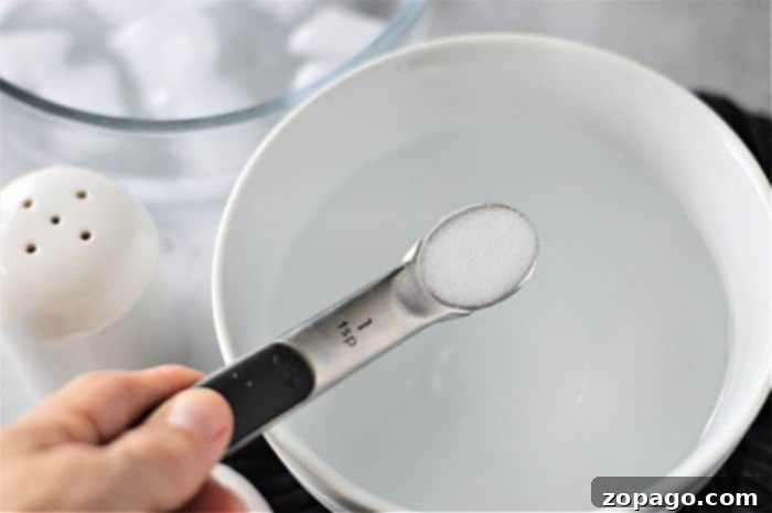 Microwave Mug Eggs 4 Egg in a Cup