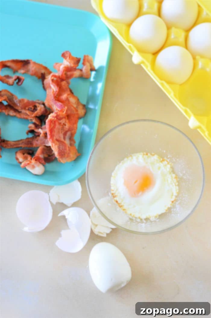 Microwave Mug Eggs 6 Eggs in a Mug