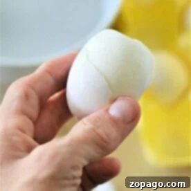 Easy Microwave Mug Eggs 7 Microwave Egg in Cup