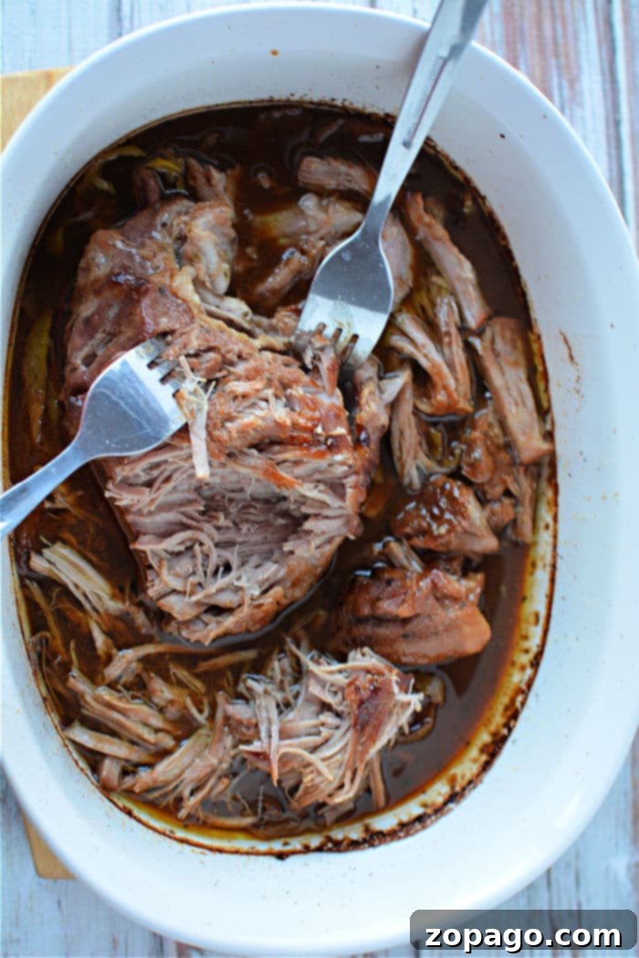 Slow-Cooked Mississippi Pork 8 A hearty portion of Mississippi Pulled Pork, rich with gravy and tender texture, presented on a white plate, invitingly ready to be enjoyed.