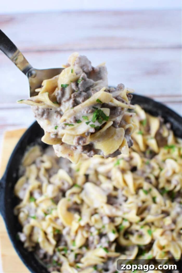 One-Pan Creamy Beef Stroganoff Skillet 2 Creamy Skillet Beef Stroganoff with Ground Beef and Egg Noodles