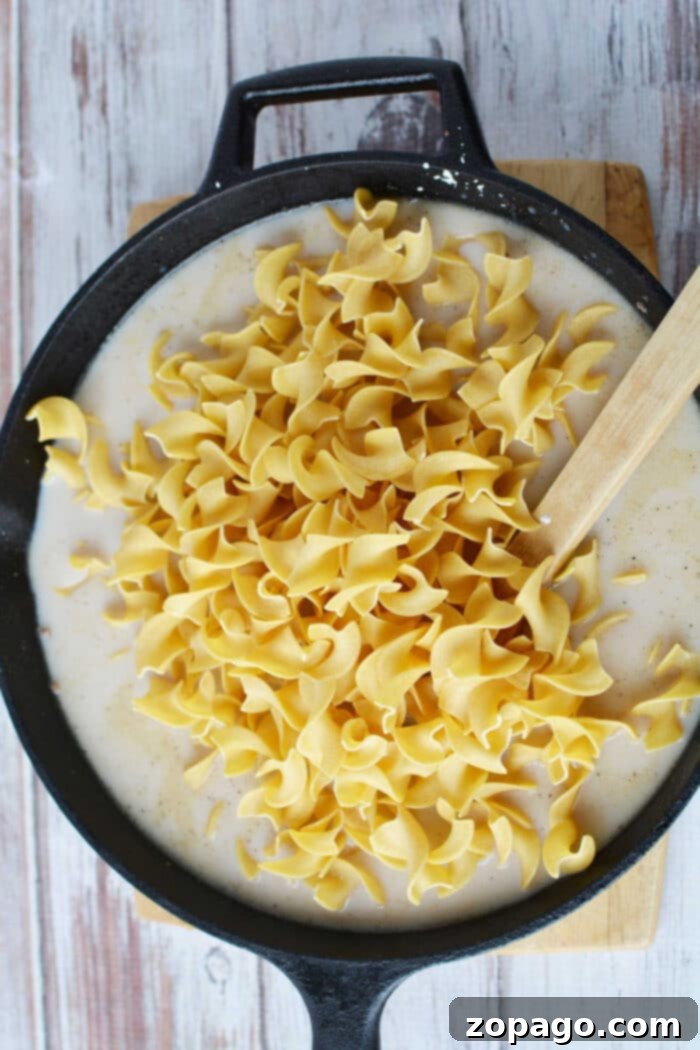 One-Pan Creamy Beef Stroganoff Skillet 5 Hamburger Helper Potato Stroganoff Served in a Skillet