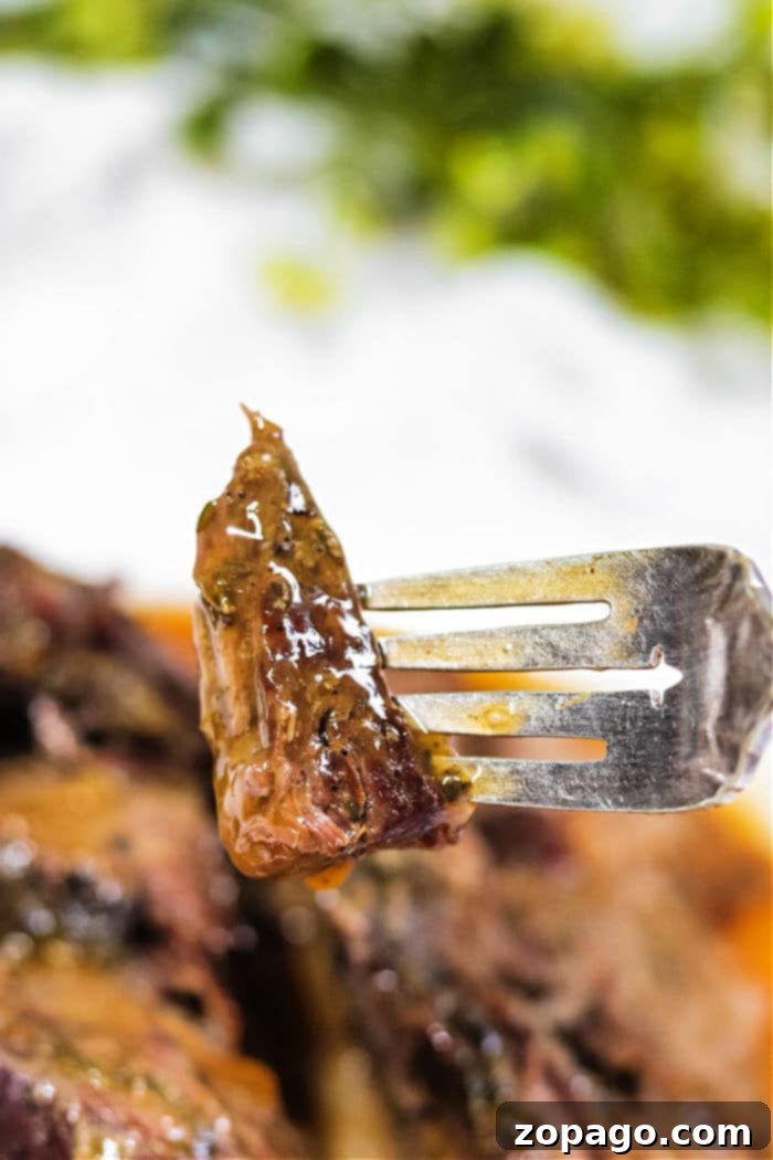 Juicy Sirloin Tip Roast Recipe 2 How to Cook a Sirloin Tip Roast to Perfection