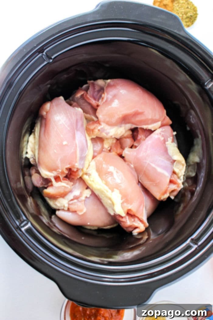 Chicken Stew 4 Pollo Guisado with Chicken Thighs