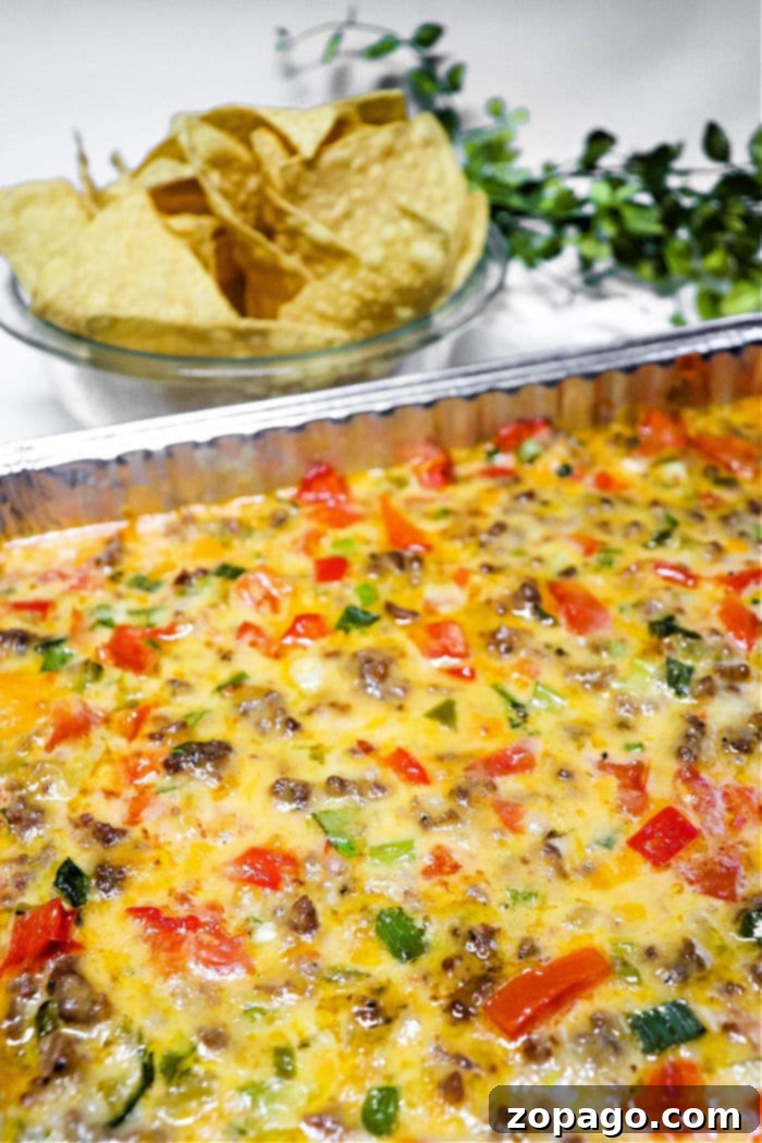 TikTok Queso Dip Oven