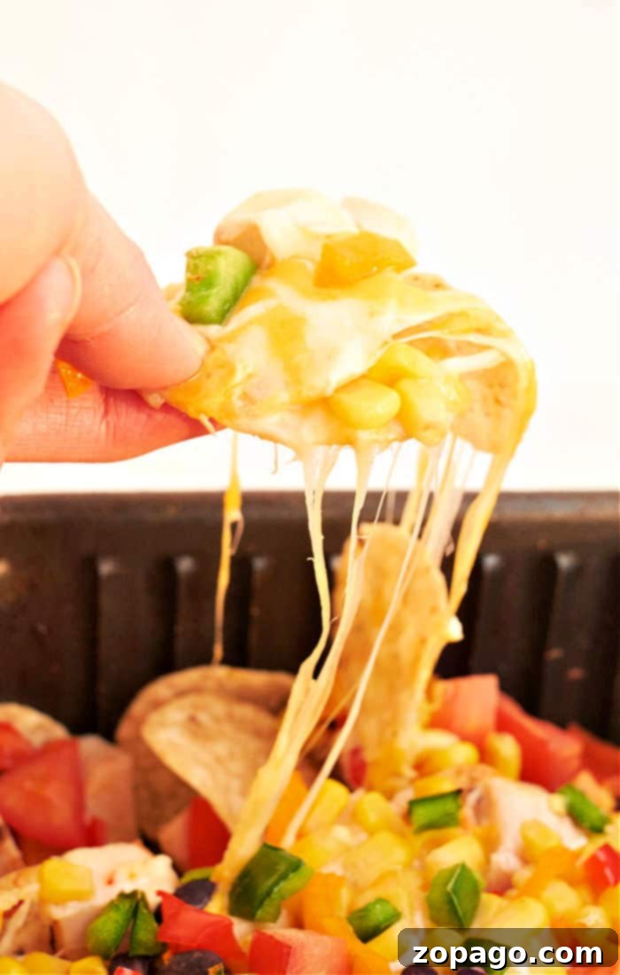 Easy Ninja Foodi Nachos 2 Ninja Foodi Nachos - A close-up shot of perfectly melted cheese over tortilla chips in a Ninja Foodi air fryer basket, ready to be served.