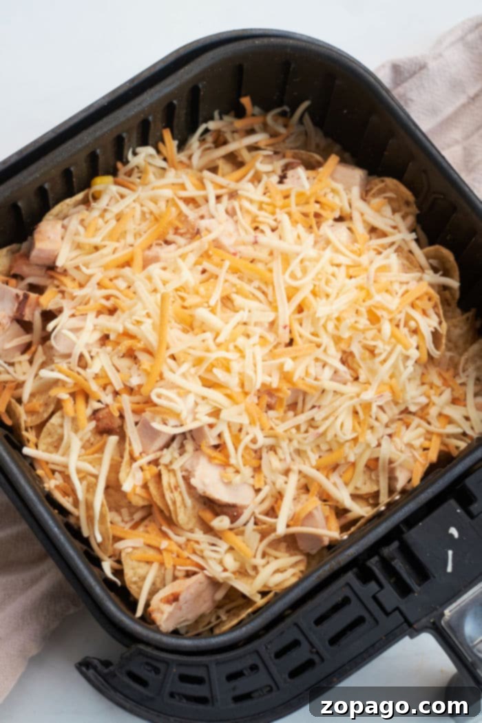 Easy Ninja Foodi Nachos 6 Chips and Cheese in Air Fryer - A simple, yet delicious plate of air fryer chips and cheese, perfectly melted and golden brown.