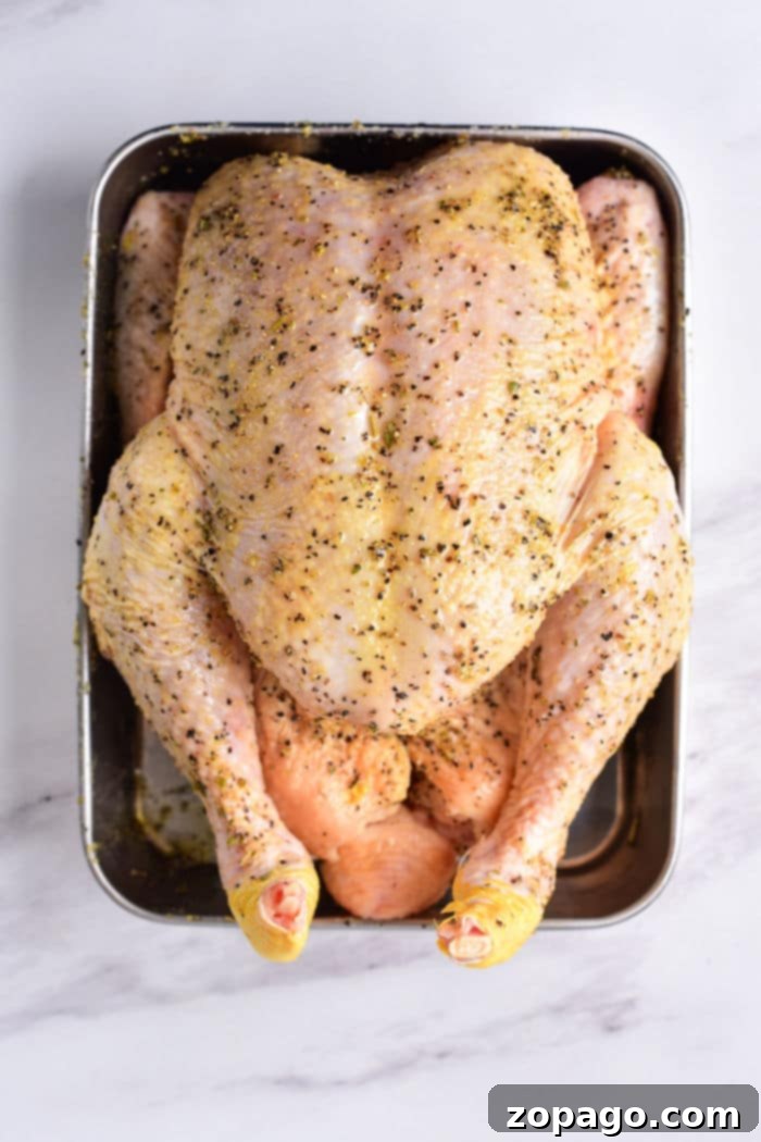 Perfectly Baked Whole Chicken: Your 350F Time Guide 3 A close-up shot of a roasted whole chicken, golden brown and glistening with juices, sitting in a roasting pan. The crispy skin is visible, promising a delicious texture. This image perfectly illustrates the result of knowing how long to bake a whole chicken at 350 degrees.