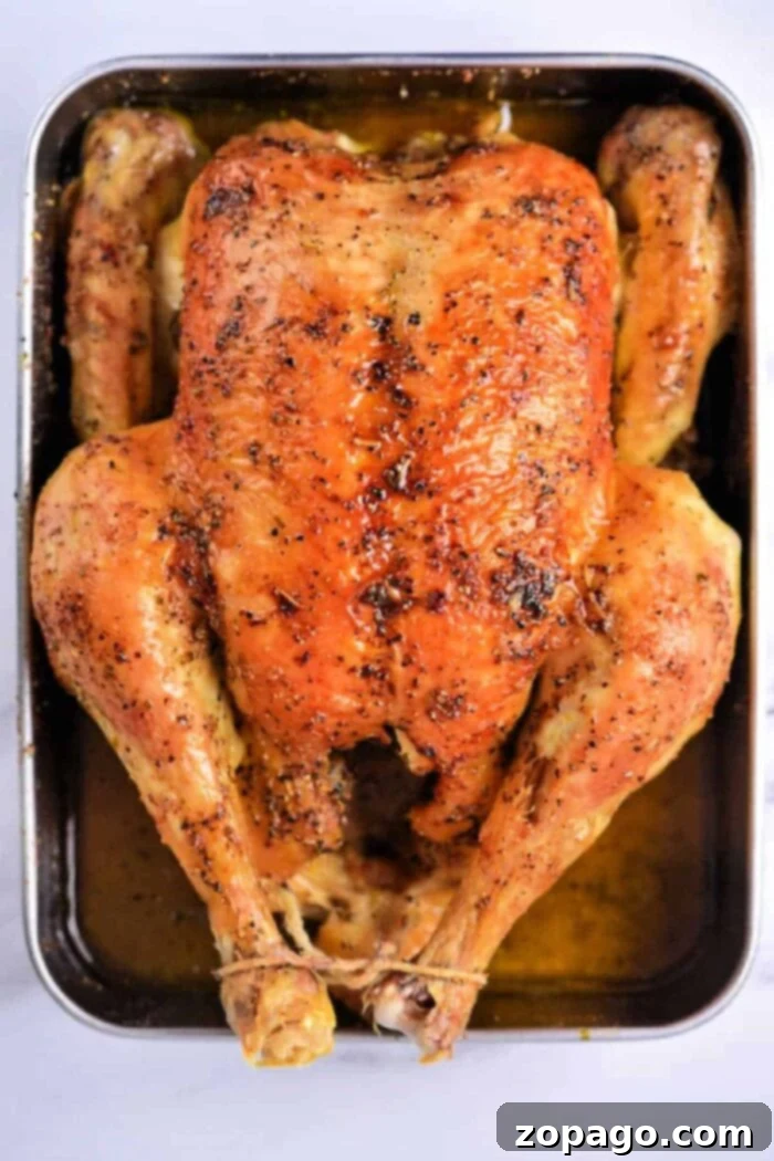 Perfect Roast Chicken at 350 Degrees 8 A whole roasted chicken, presented beautifully in an oven-safe dish, ready to be served. The chicken has a deep golden-brown, crispy skin and is surrounded by its savory juices, illustrating a perfect roast cooked at 350 degrees.