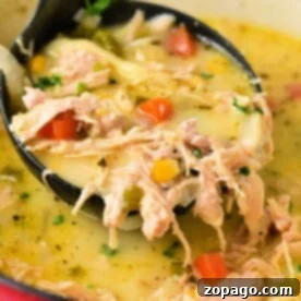 Velvety Poblano Chicken Soup 5 A ladle scooping creamy chicken poblano soup with vegetables from a pot.