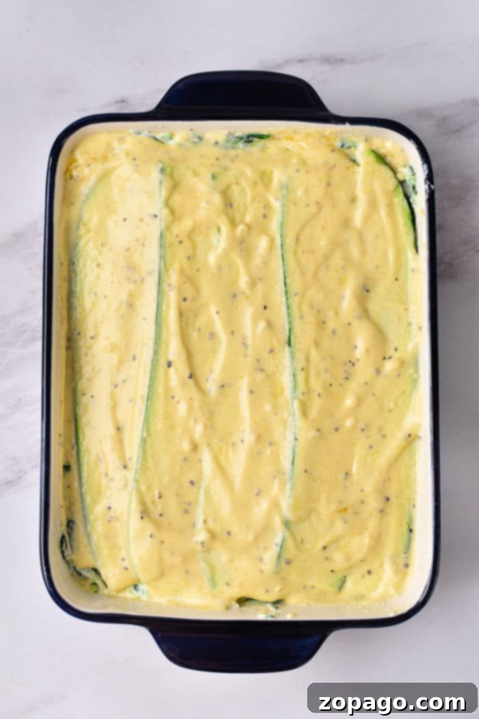 Creamy Garden Vegetable Lasagna 6 Alfredo Lasagna