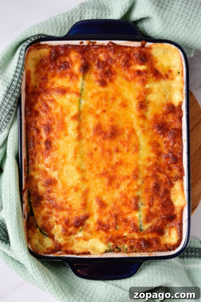Creamy Garden Vegetable Lasagna 7 Vegetable Lasagna with Alfredo Sauce