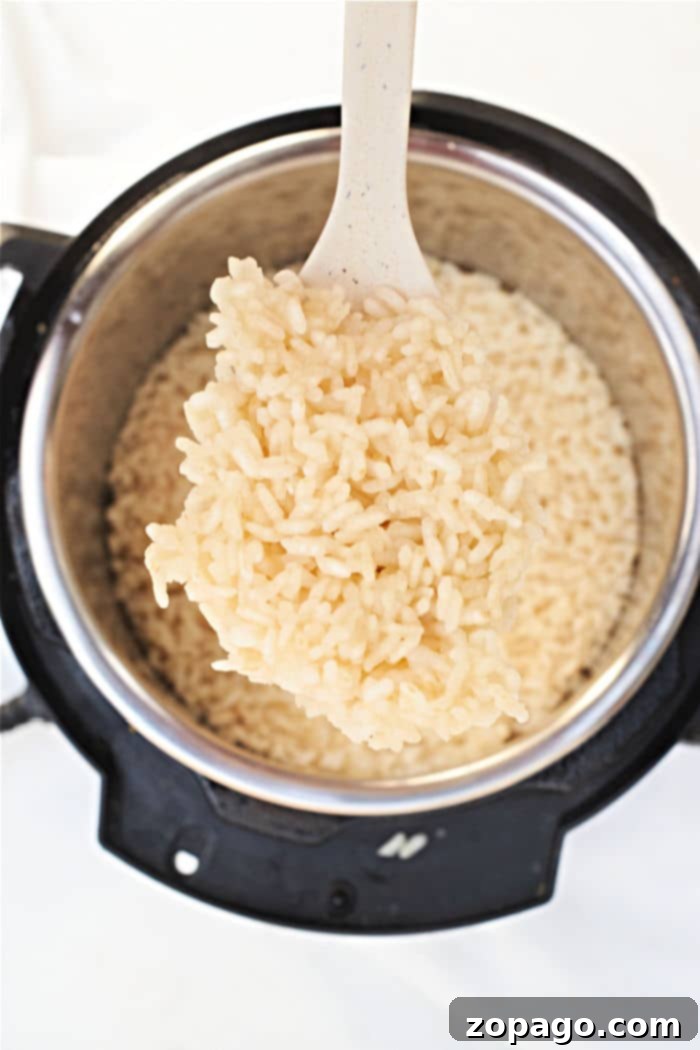 Perfect Arborio Rice Every Time 2 How to Cook Arborio Rice perfectly in an Instant Pot for a creamy texture