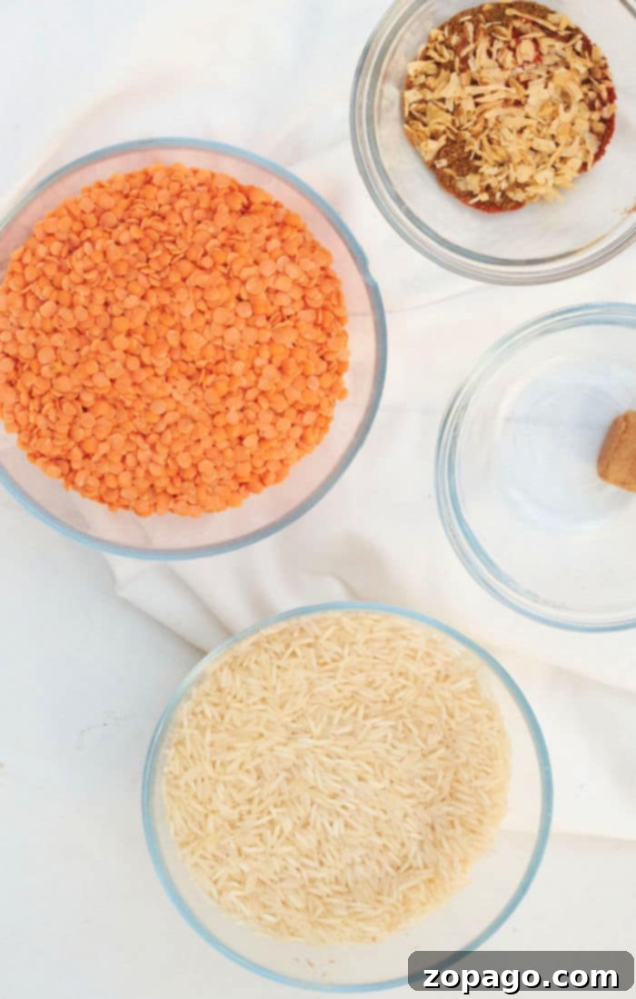 Hearty Lentil and Rice 3 Close-up of perfectly cooked Instant Pot lentils and rice, garnished and ready.