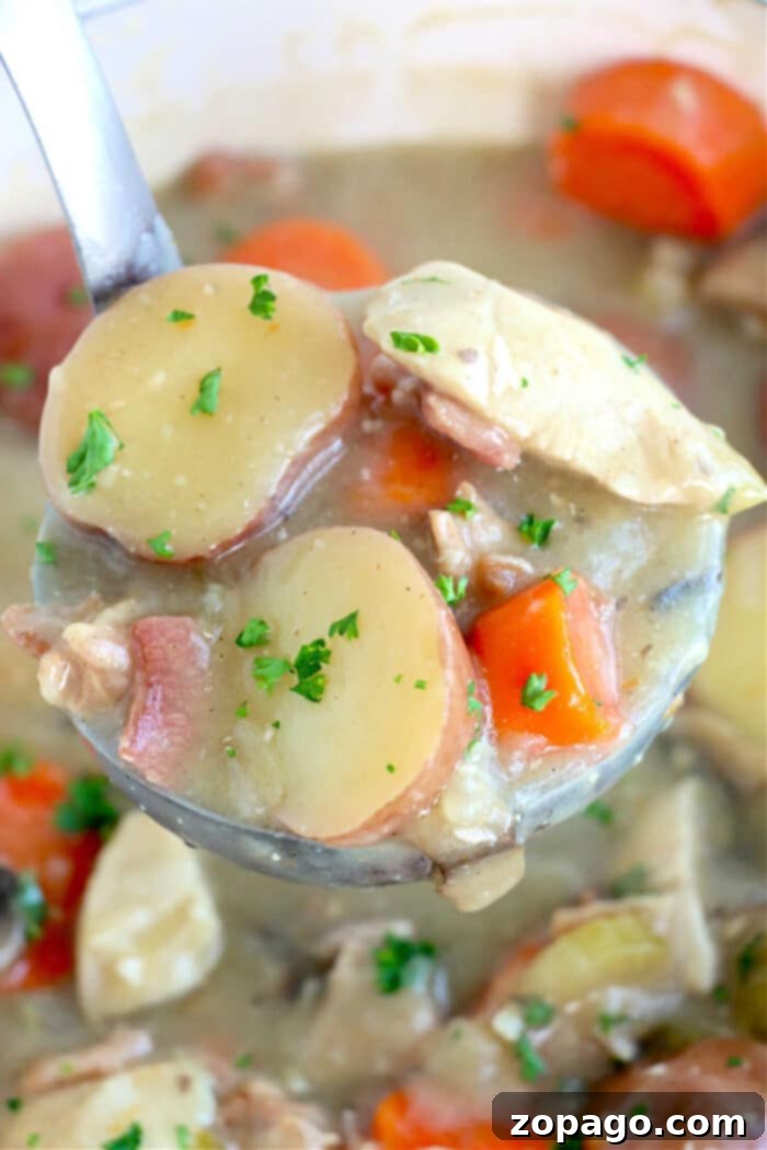 Velvety Dutch Oven Chicken Stew 2 Creamy Chicken Stew