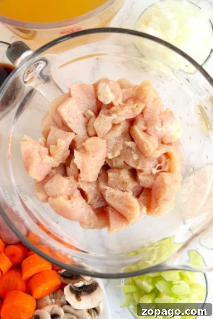Velvety Dutch Oven Chicken Stew 4 Creamy Chicken Stew with Coconut Milk