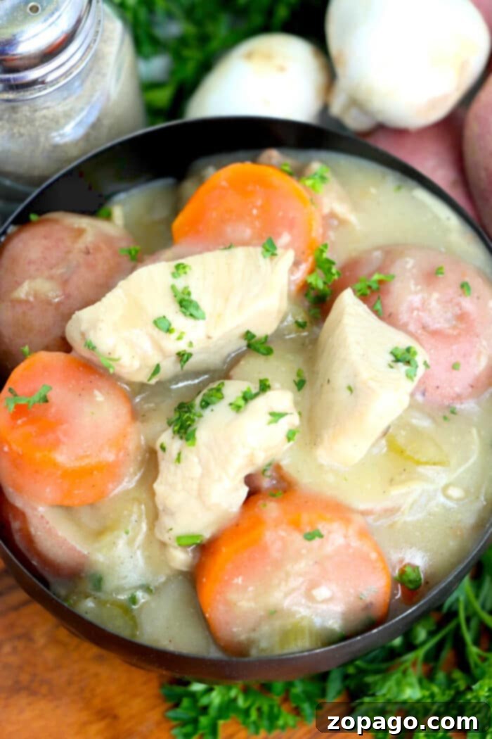 Velvety Dutch Oven Chicken Stew 6 Southern Creamy Chicken Stew