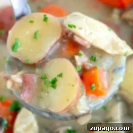 Close-up of a ladle holding Southern creamy chicken stew with sliced potatoes, carrots, herbs, and chunks of meat simmering on the stove.