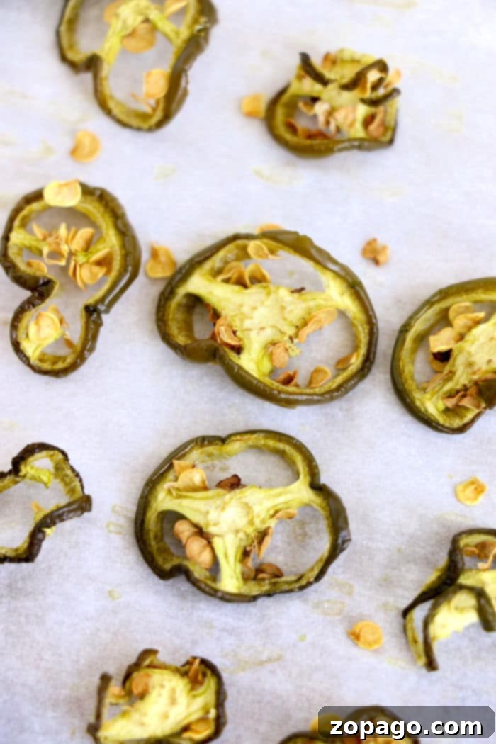 Fiery Dried Jalapeño Peppers 6 Sliced pieces of dried jalapeño peppers are scattered on a sheet of parchment paper. The pepper slices are roasted and browned, with seeds visible in the center of some slices. Small bits of roasted pepper seeds are also present on the paper.