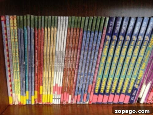 Discovering AR Reading: How to Find Books Aligned with Your Child's Level A collection of children's books, some open, demonstrating the variety of literature available for different Accelerated Reader levels, encouraging diverse reading choices.